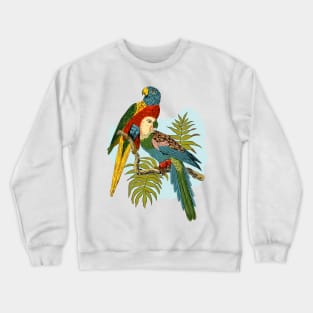 Two Colorful Parrots Tropical Plant Illustration Crewneck Sweatshirt